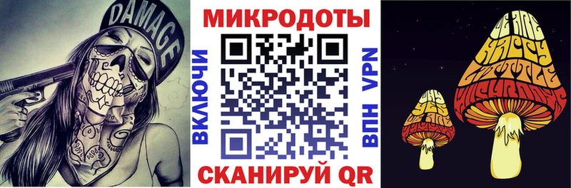Галлюциногенные грибы Psilocybine cubensis  Печора 